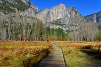 California > Yosemite National Park