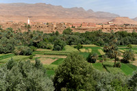 Morocco > Southern Oasis