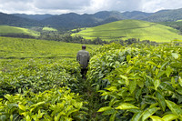 Burundi II