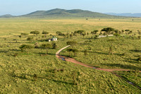 Tanzania > Serengeti